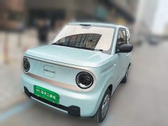 Geely Panda Mini 200km Endurance Edition - ფოტო 1