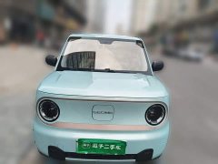 Geely Panda Mini 200km Endurance Edition - ფოტო 2
