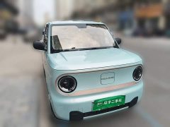 Geely Panda Mini 200km Endurance Edition - ფოტო 3
