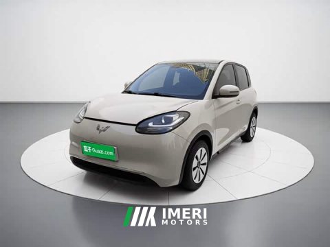 2023 Wuling Binguo 203km Light Enjoy Edition - ავტომობილი ჩინეთიდან