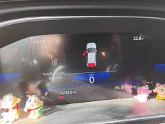 Volkswagen Sagitar 200TSI DSG Excellence Edition - ფოტო 7