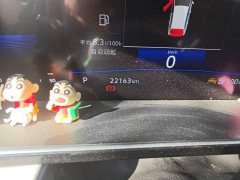 Volkswagen Sagitar 200TSI DSG Excellence Edition - ფოტო 8