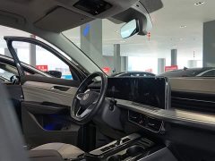 Volkswagen Lanhun 330TSI Luxury Edition - ფოტო 15