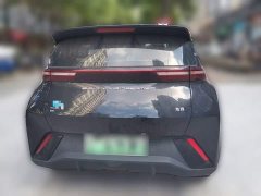 BYD Seagull Vitality Edition - ფოტო 3