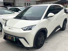 BYD Seagull Glory Edition 305km Vitality Version - ფოტო 1