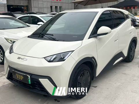 2024 BYD Seagull Glory Edition 305km Vitality Version - ავტომობილი ჩინეთიდან