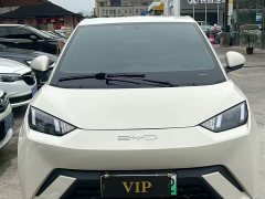 BYD Seagull Glory Edition 305km Vitality Version - ფოტო 2