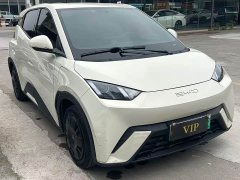 BYD Seagull Glory Edition 305km Vitality Version - ფოტო 3