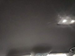 BYD Qin L DM-i Smart Drive Edition 80KM Leading - ფოტო 14