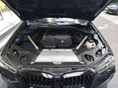 BMW X3 xDrive30i Leading Edition M Night Package - ფოტო 8