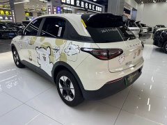 Geely Star Wish 410km Freedom Edition - ფოტო 20