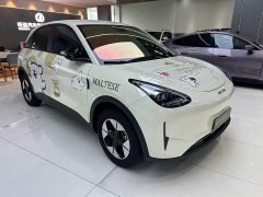 Geely Star Wish 410km Freedom Edition - ფოტო 3