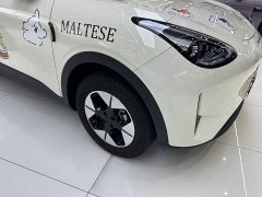 Geely Star Wish 410km Freedom Edition - ფოტო 4