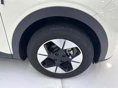 Geely Star Wish 410km Freedom Edition - ფოტო 5