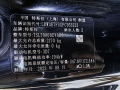 Tesla Model 3 Rear-Wheel Drive - фото 11