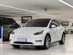 Tesla Model Y Long Range All-Wheel Drive - ფოტო 1