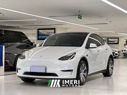 2021 Tesla Model Y Long Range All-Wheel Drive - автомобиль из Китая