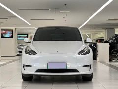 Tesla Model Y Long Range All-Wheel Drive - ფოტო 2