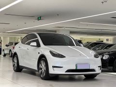 Tesla Model Y Long Range All-Wheel Drive - ფოტო 3