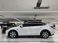 Tesla Model Y Long Range All-Wheel Drive - ფოტო 4