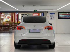 Tesla Model Y Long Range All-Wheel Drive - ფოტო 6