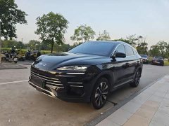 BYD Song Plus New Energy DM-i 160KM Flagship - ფოტო 1