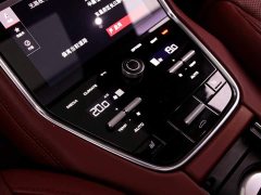 Porsche Panamera 2.9T Platinum Edition - ფოტო 17