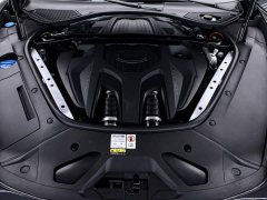 Porsche Panamera 2.9T Platinum Edition - ფოტო 20