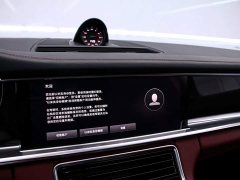 Porsche Panamera 2.9T Platinum Edition - ფოტო 8