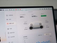 Nio Lerado L60 60kWh Rear-Wheel Drive - ფოტო 12