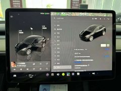 Tesla Model Y Facelift Rear-Wheel Drive - ფოტო 19