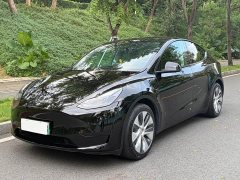 Tesla Model Y Rear-Wheel Drive - ფოტო 1