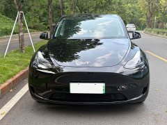Tesla Model Y Rear-Wheel Drive - ფოტო 2