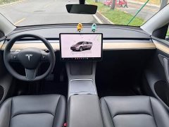 Tesla Model Y Rear-Wheel Drive - ფოტო 5