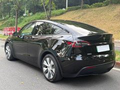 Tesla Model Y Rear-Wheel Drive - ფოტო 7