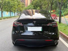 Tesla Model Y Rear-Wheel Drive - ფოტო 8
