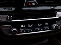 BMW 5 Series Facelift 530Li Luxury Package - ფოტო 9