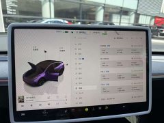 Tesla Model Y Rear-Wheel Drive - ფოტო 7