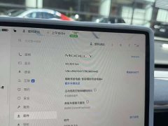 Tesla Model Y Rear-Wheel Drive - ფოტო 8