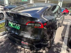 Tesla Model Y Rear-Wheel Drive - ფოტო 9