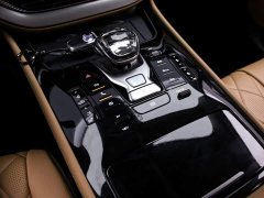 Denza D9 DM-i 980 Four-Wheel Drive Premium - ფოტო 10