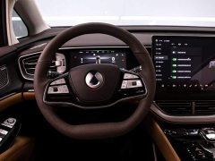 Denza D9 DM-i 980 Four-Wheel Drive Premium - ფოტო 7