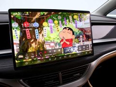 Denza D9 DM-i 980 Four-Wheel Drive Premium - ფოტო 8