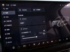 Denza D9 DM-i 980 Four-Wheel Drive Premium - ფოტო 9