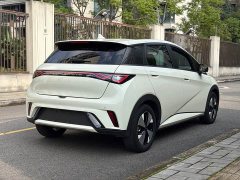 BYD Dolphin 420km Fashion Edition - ფოტო 14