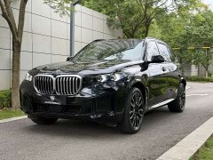 BMW X5 xDrive 40Li M Sport Package - ფოტო 1