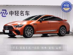 Mercedes-Benz AMG GT AMG GT 50 4MATIC China Edition - ფოტო 1
