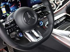 Mercedes-Benz AMG GT AMG GT 50 4MATIC China Edition - ფოტო 10