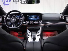 Mercedes-Benz AMG GT AMG GT 50 4MATIC China Edition - ფოტო 13