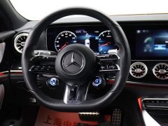 Mercedes-Benz AMG GT AMG GT 50 4MATIC China Edition - ფოტო 14